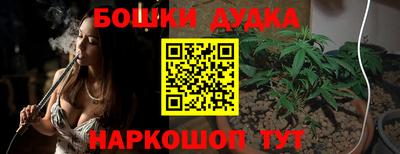 СК Славгород