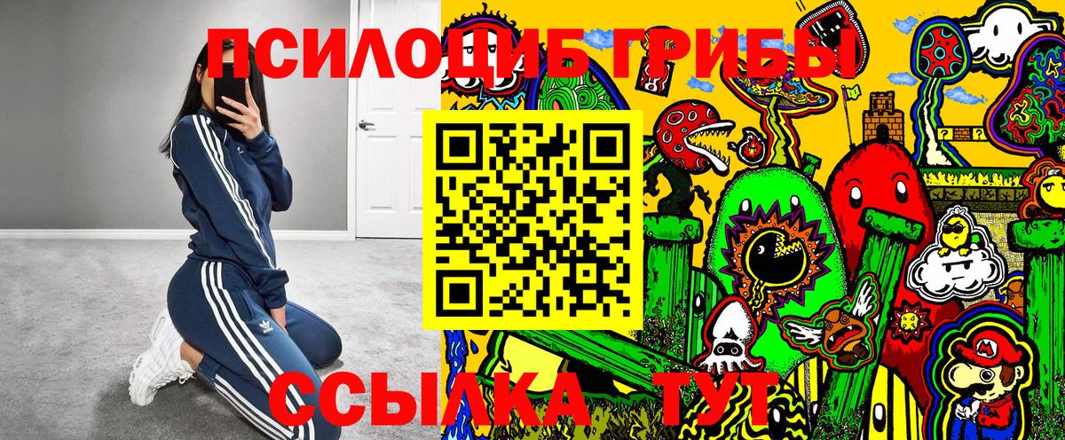 Галлюциногенные грибы Magic Shrooms Вологда